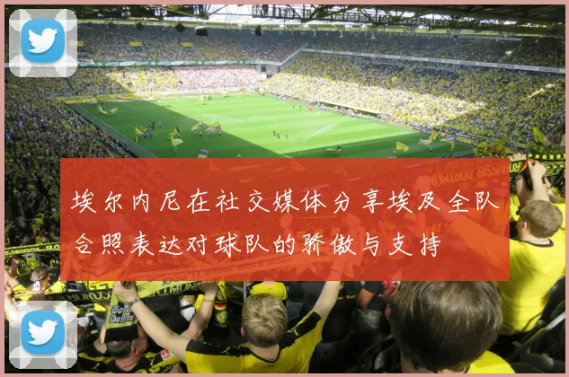 埃尔内尼在社交媒体分享埃及全队合照表达对球队的骄傲与支持